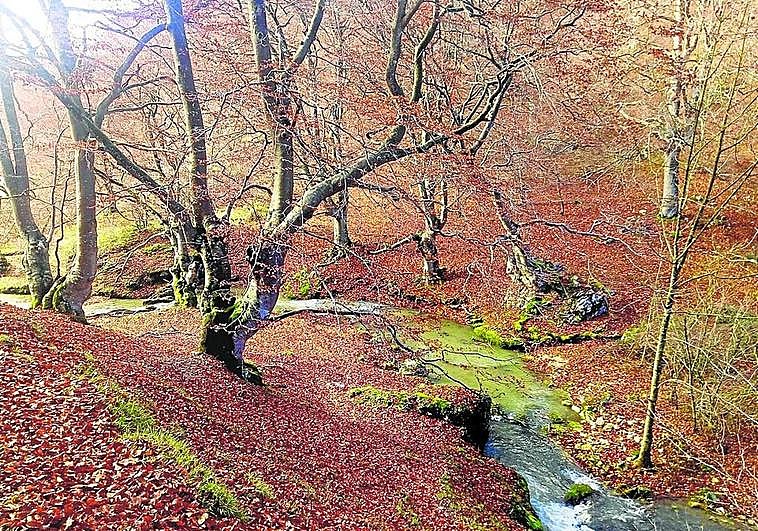 El desfiladero del río Ayuda desde las alturas El Correo